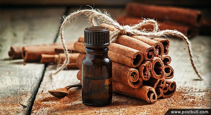 Cinnamon essential oil.